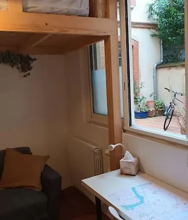 Petit Mignon - Hypercentre Toulouse Appartement Buitenkant foto